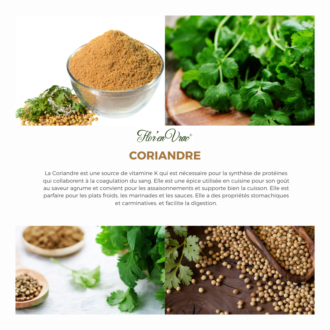 Coriandre Bio – Image 2