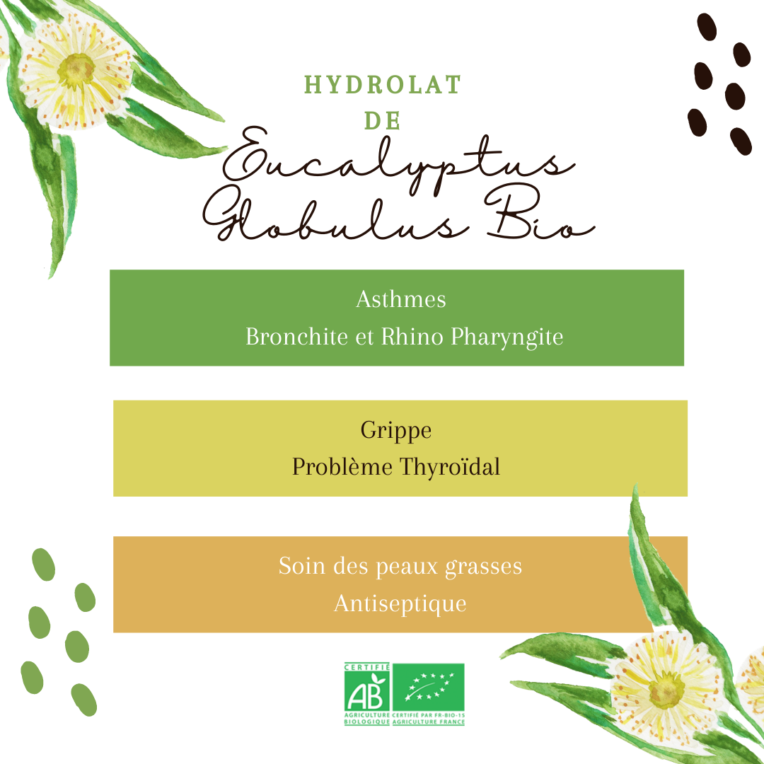 Hydrolat Eucalyptus Globulus Bio 1L – Image 2