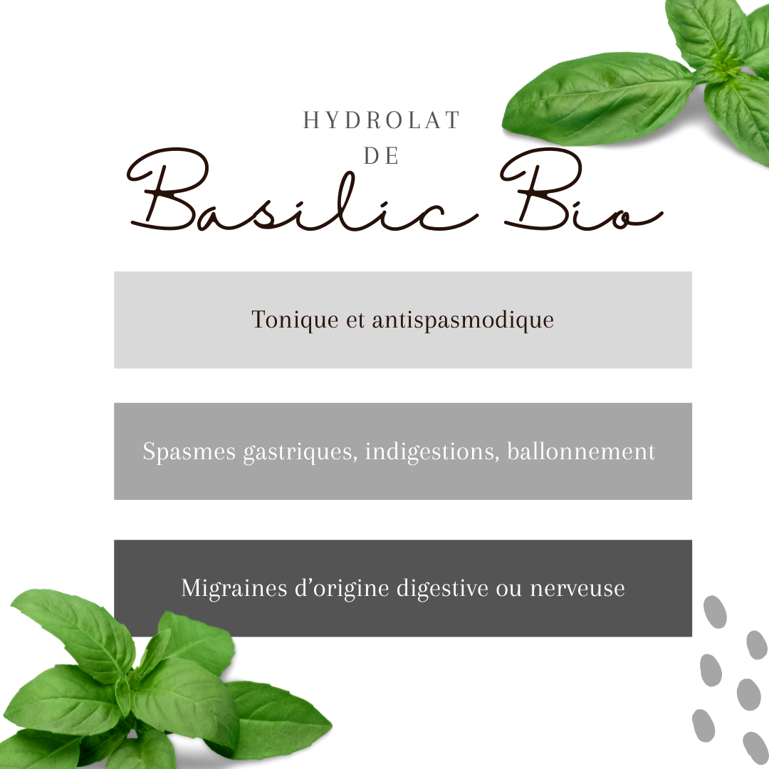 Hydrolat Basilic Bio 1L – Image 2