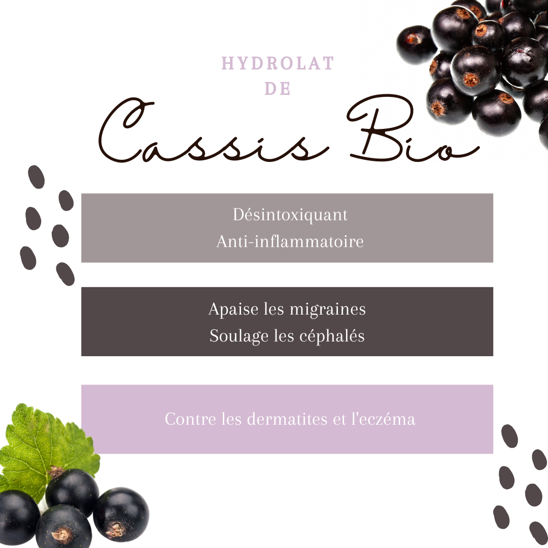 Hydrolat Cassis Bio 1L – Image 2