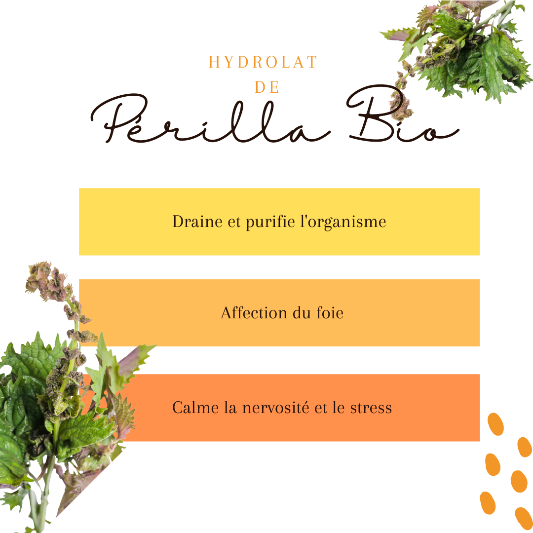 Hydrolat Perilla Bio 1L – Image 2
