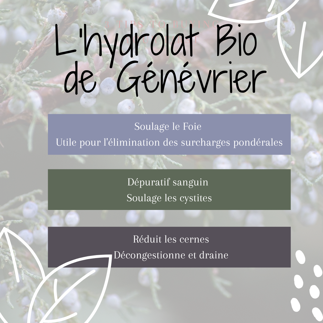 Hydrolat Génévrier Bio 1L – Image 2
