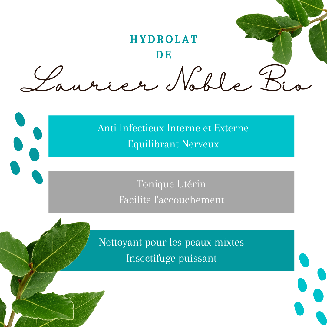 Hydrolat Laurier Noble Bio 1L – Image 2