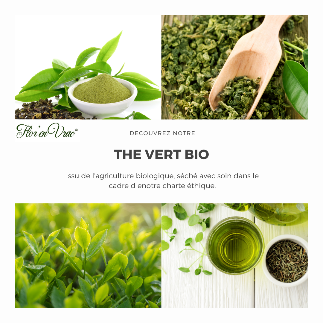 Thé Vert Bio – Image 2